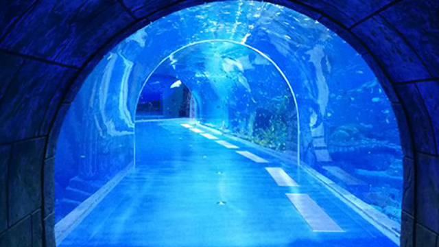 透明海底隧道，保护海洋环境