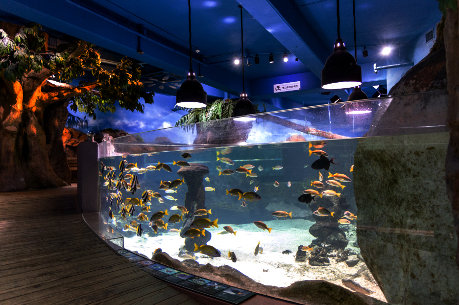 亚克力鱼池，透明美观与环保节能的完美结合