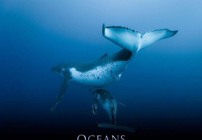 《海洋》人类是大自然最纠结的发明