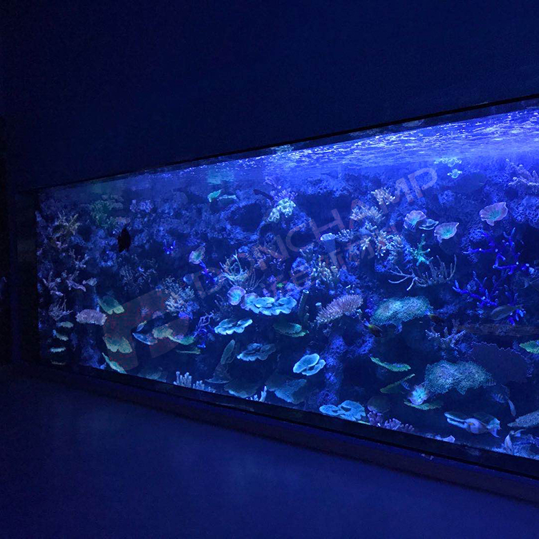 亚克力海洋馆与传统玻璃水族馆的5大核心差异，2025年必读指南