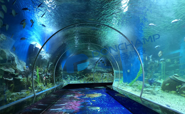 水族馆工程为什么会使用亚克力材料