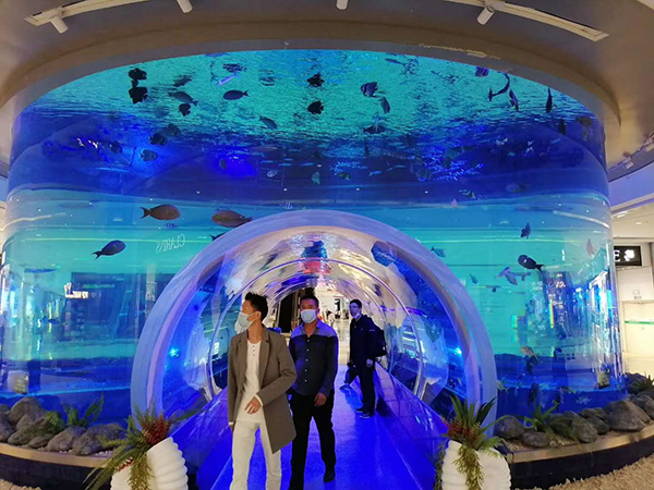 告诉大家亚克力鱼缸具备的6大特征及保养清洁