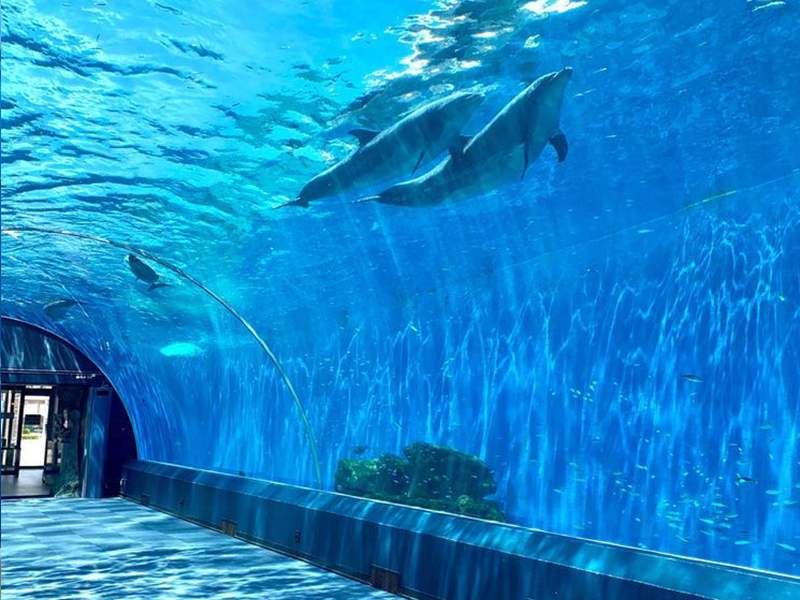 海底隧道