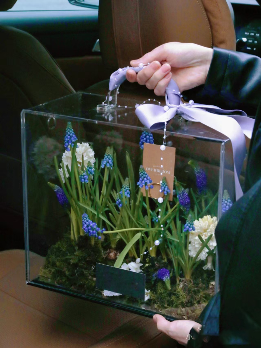 情人节特辑 (7).jpg 情人节特辑 (7).jpg