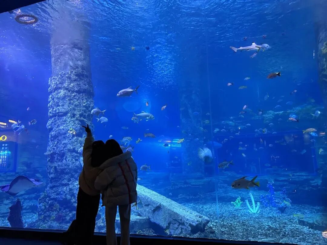 微信图片_2026-04-09_161924_421