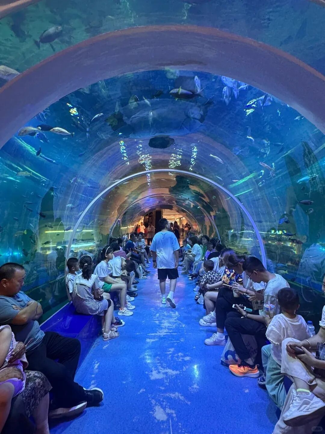 微信图片_2026-07-29_160652_265